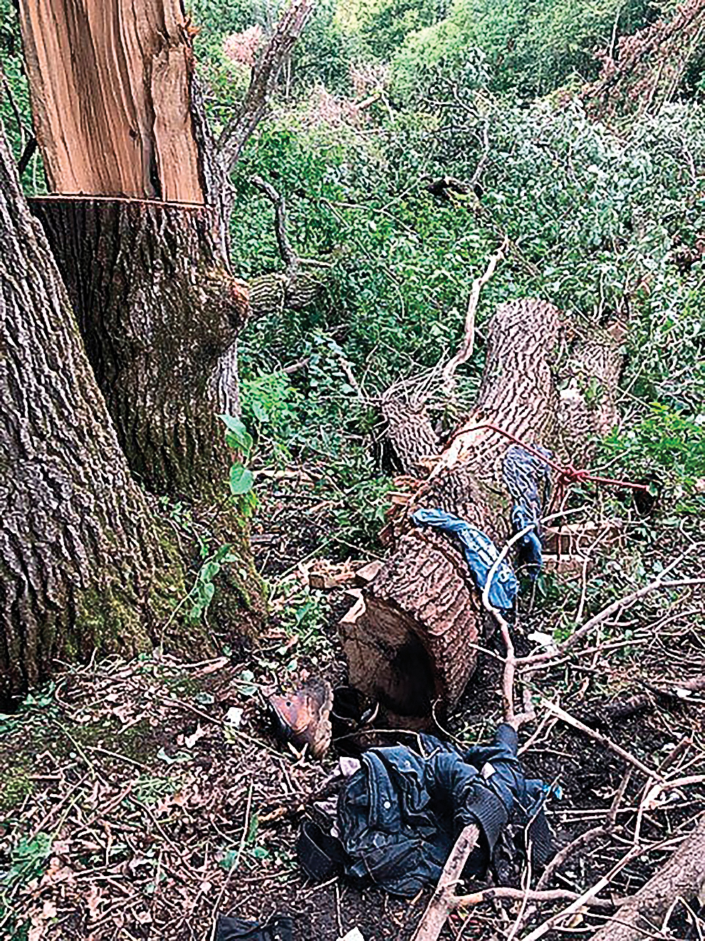 GoFundMe Page created for Redwood Falls man News, Sports, Jobs The